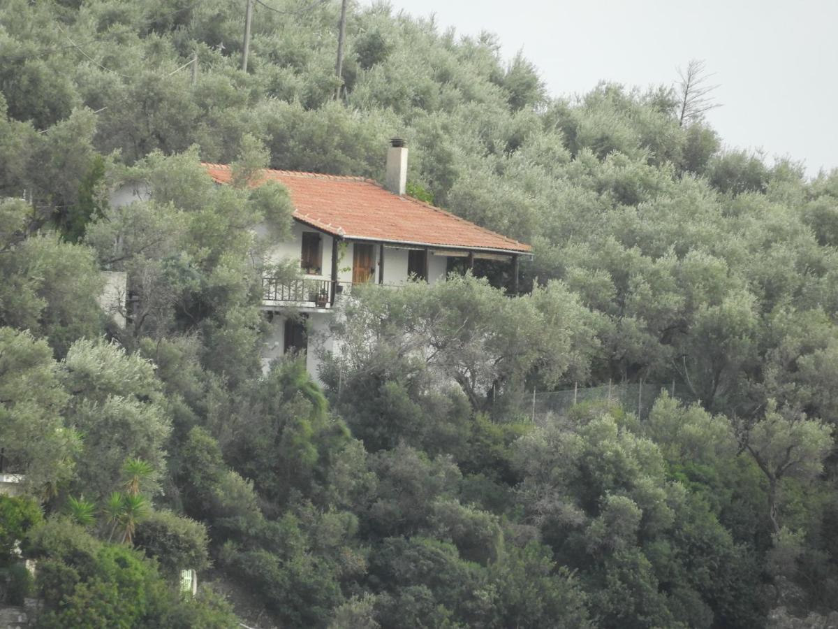 Villa Imelda Afissos Exterior photo