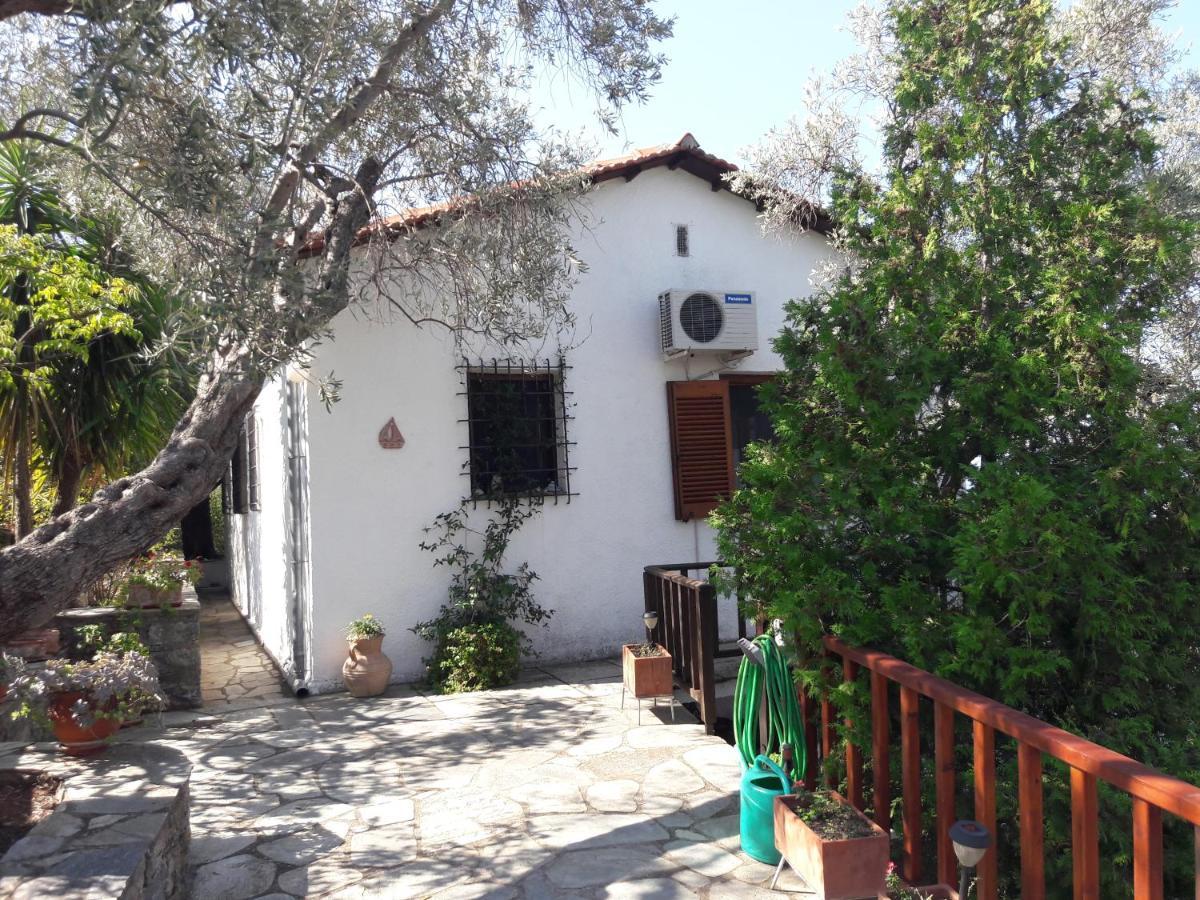 Villa Imelda Afissos Exterior photo